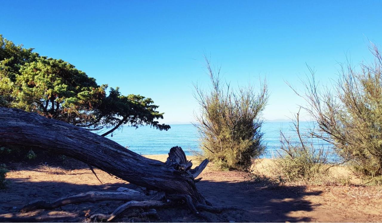 Appartamento Claudi A San Vincenzo Dış mekan fotoğraf