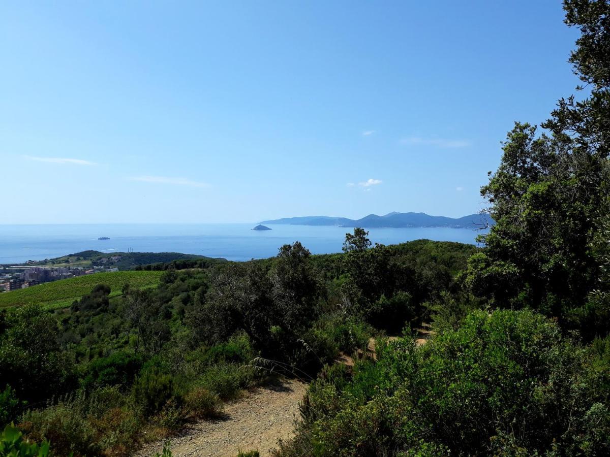 Appartamento Claudi A San Vincenzo Dış mekan fotoğraf